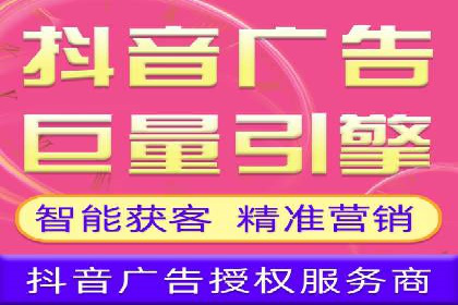 专业竞价SEM托管成功案例解析